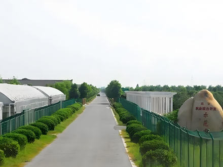 昆山市千灯大唐蔬菜供销合作区