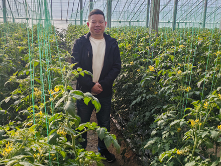 上海市嘉定华亭蔬菜供销合作区